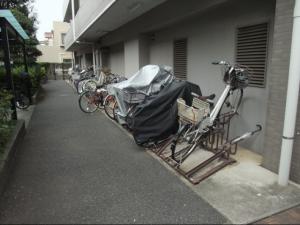 解体前